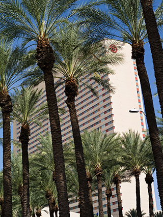 Hotel and palm trees